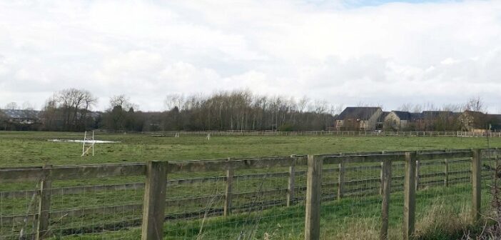 green belt