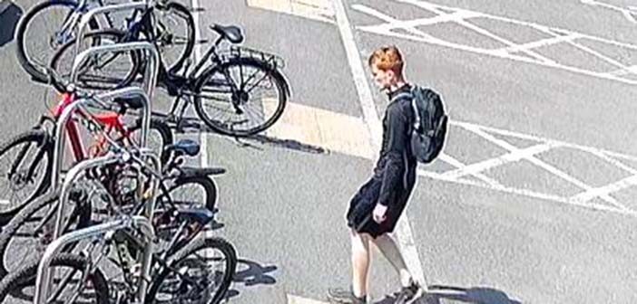 bicycle theft