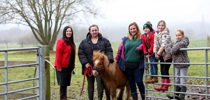 animal rescue centre