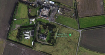dog exercise field