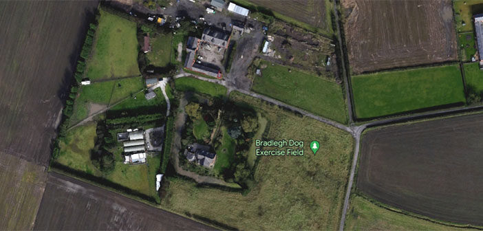 dog exercise field
