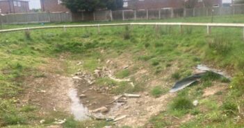 biodiverse meadow