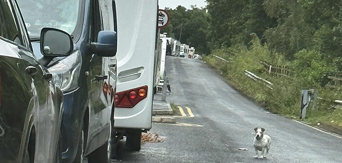 travellers