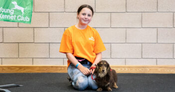 young kennel club