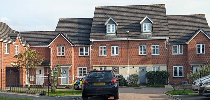 manslaughter of mother