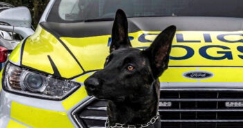 police dog
