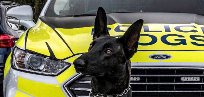 police dog