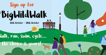 Big Wild Walk