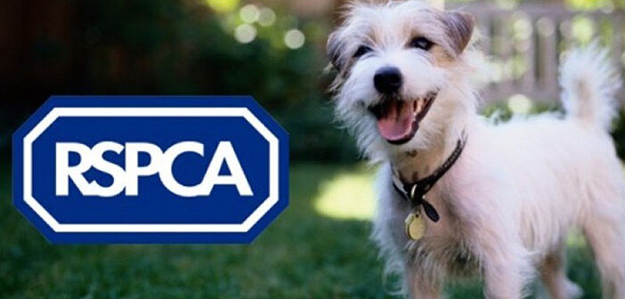 RSPCA
