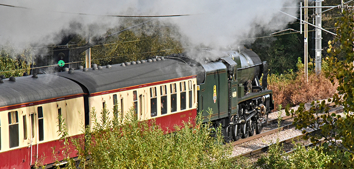 royal scot