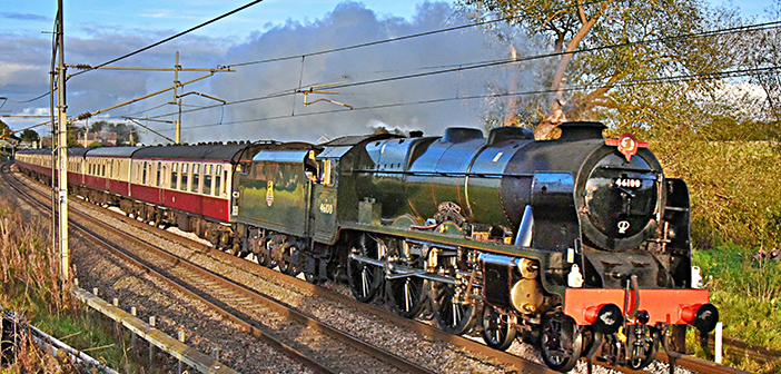 royal scot