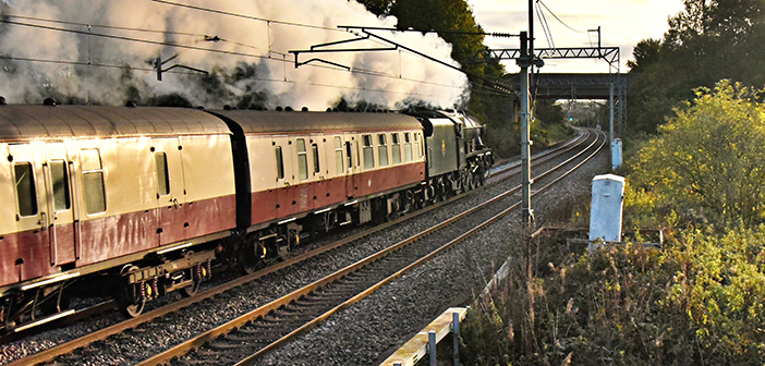 royal scot
