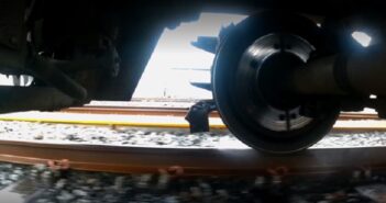 leaves on the line
