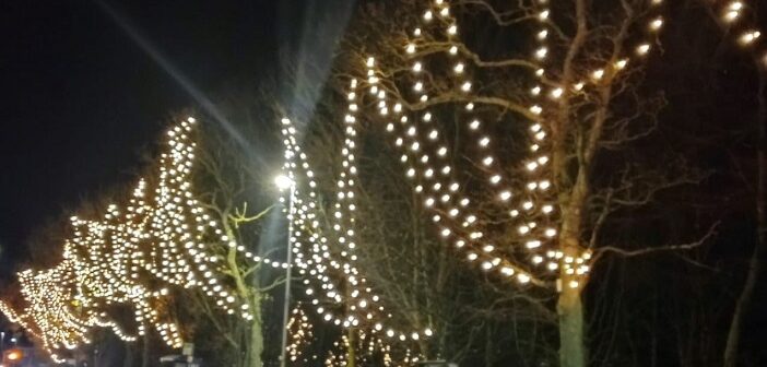 christmas lights