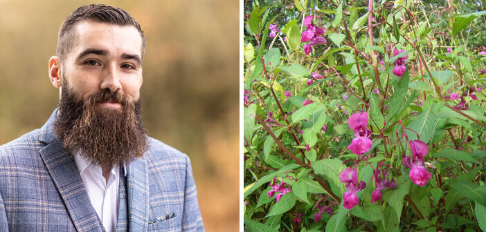 invasive plants