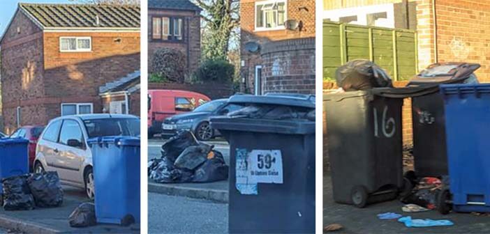 bin strike