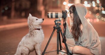 Becoming a pet photographer: simple steps to launch your new career Pet photographer