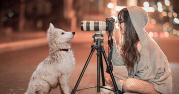 Pet photographer