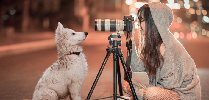 Pet photographer
