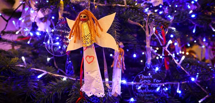 Christmas Tree Festival