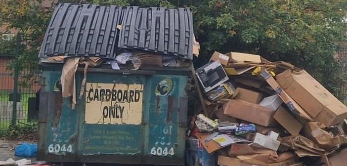 bin strike