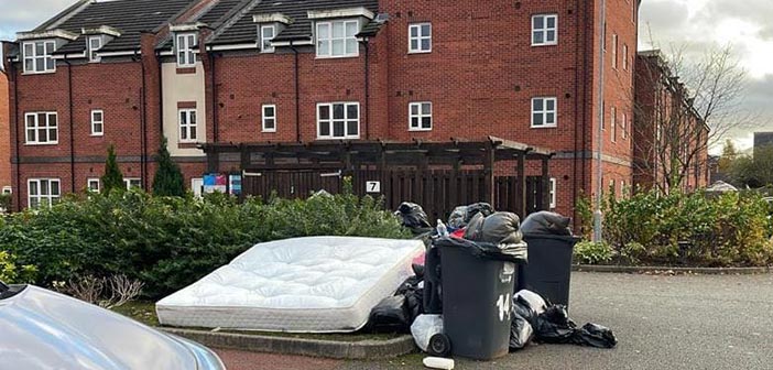 bin strike