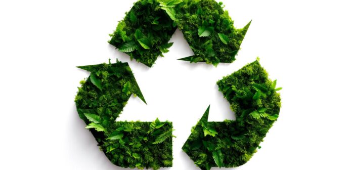 investing in sustainability