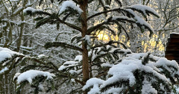 snow