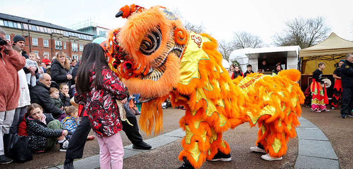 Year of the Dragon