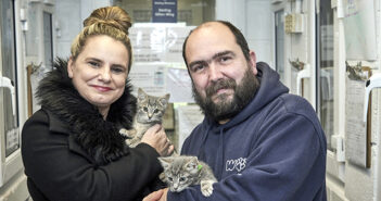 Warrington Animal Welfare