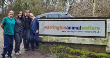 animal charity