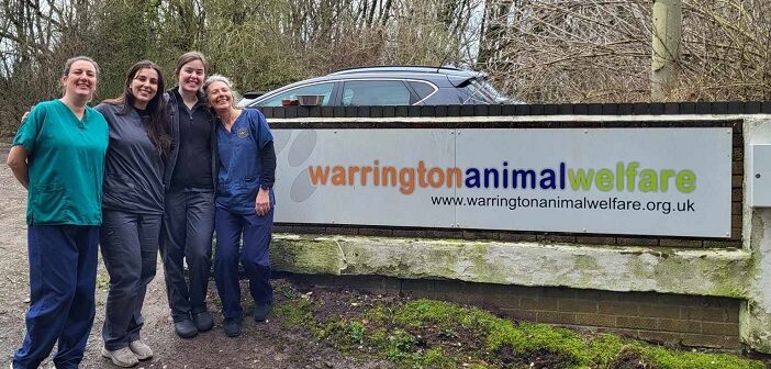 animal charity