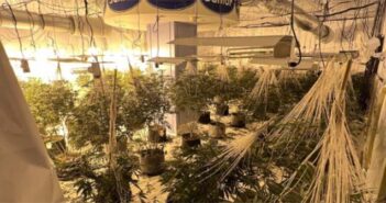 drug seizures