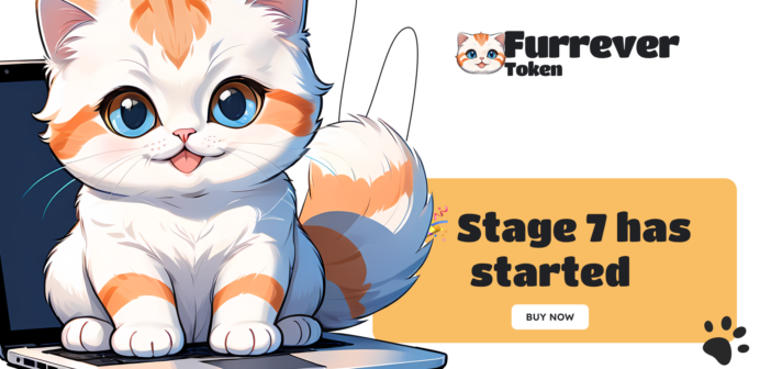 furrever token