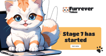 furrever token