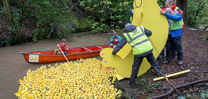 Lymm Duck Race