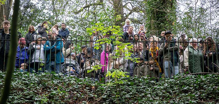 Lymm Duck Race