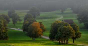 recovery of nature