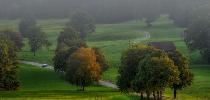 recovery of nature