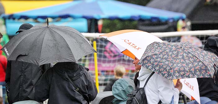 Culcheth Community Day