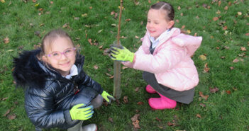 tree planting