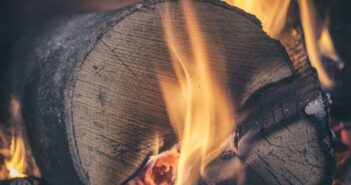 Wood Fuel