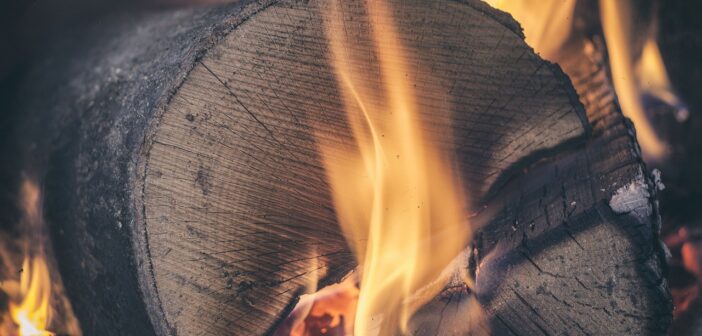 Wood Fuel