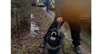 police dog