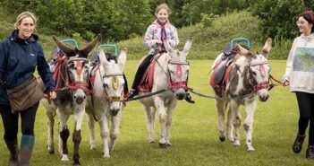 Birchwood Carnival