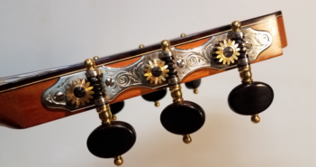 Problems with Guitar Tuning Pegs
