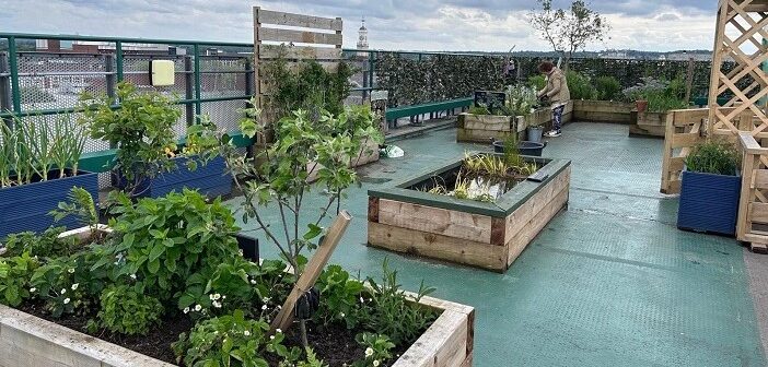 garden