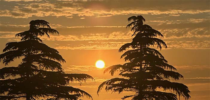 summer solstice