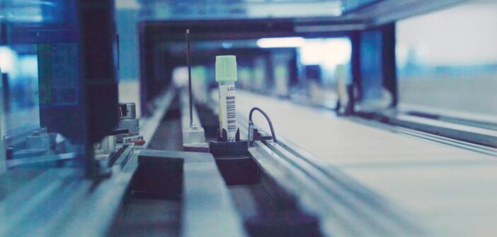 lab