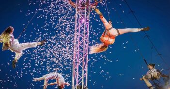 Gorilla Circus